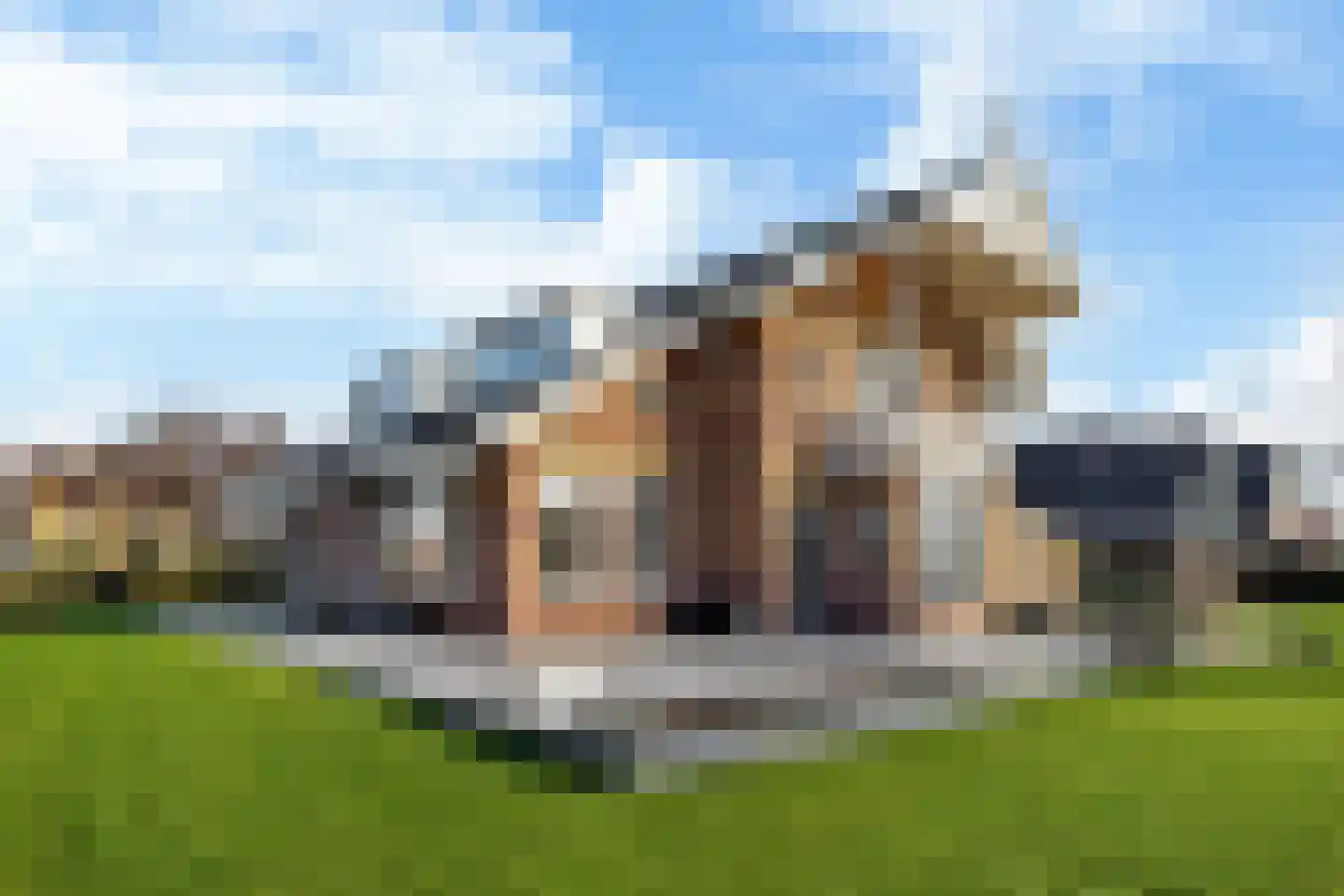 Koetshúsleane 2 Woudsend thumbnail 41
