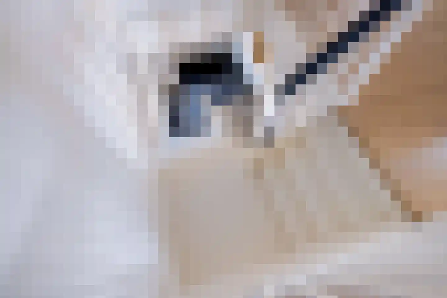 Koetshúsleane 2 Woudsend thumbnail 49