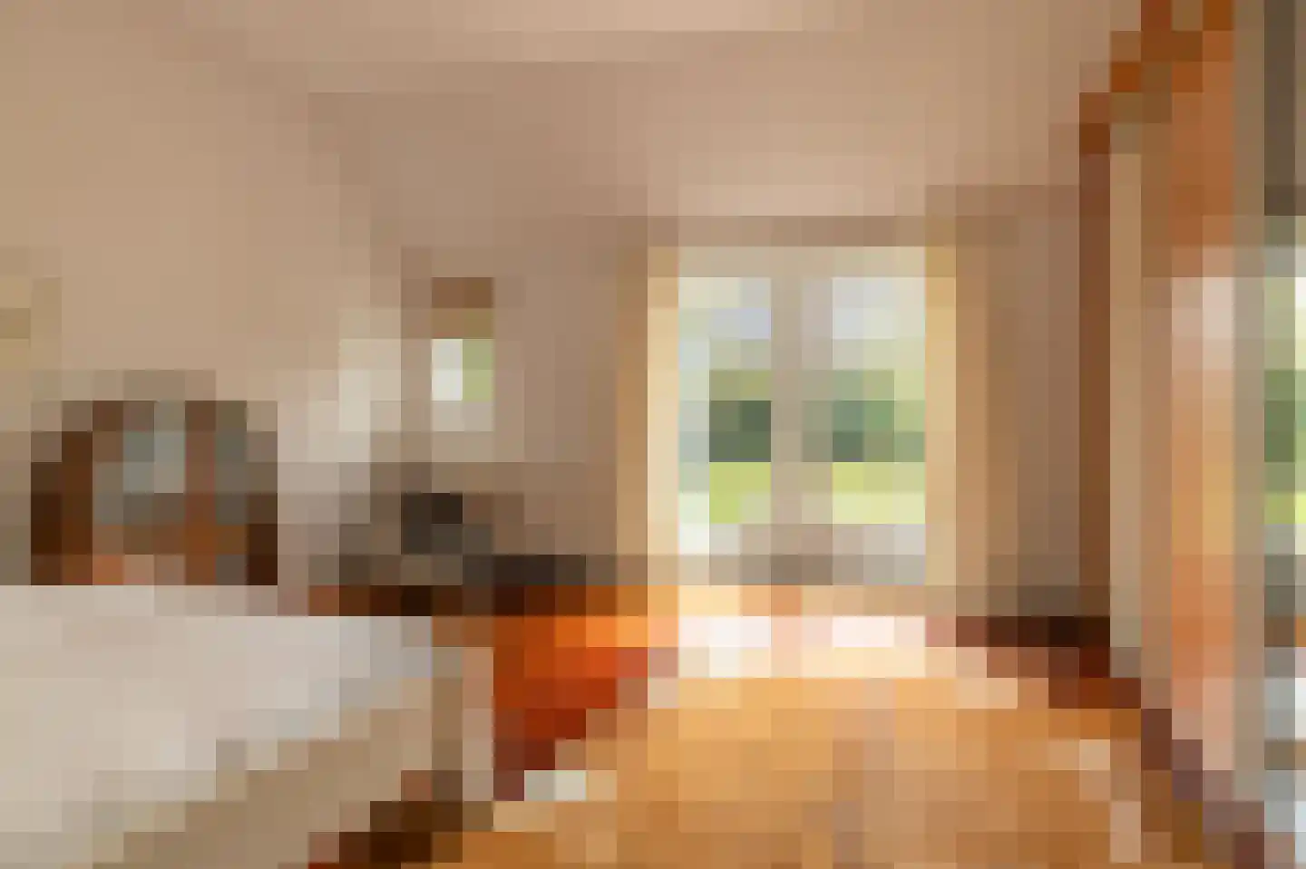 Koetshúsleane 36 Woudsend thumbnail 20