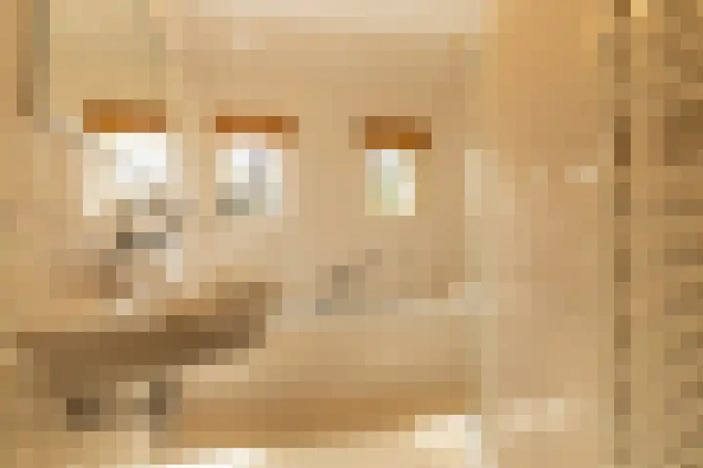Koetshúsleane 36 Woudsend thumbnail 28