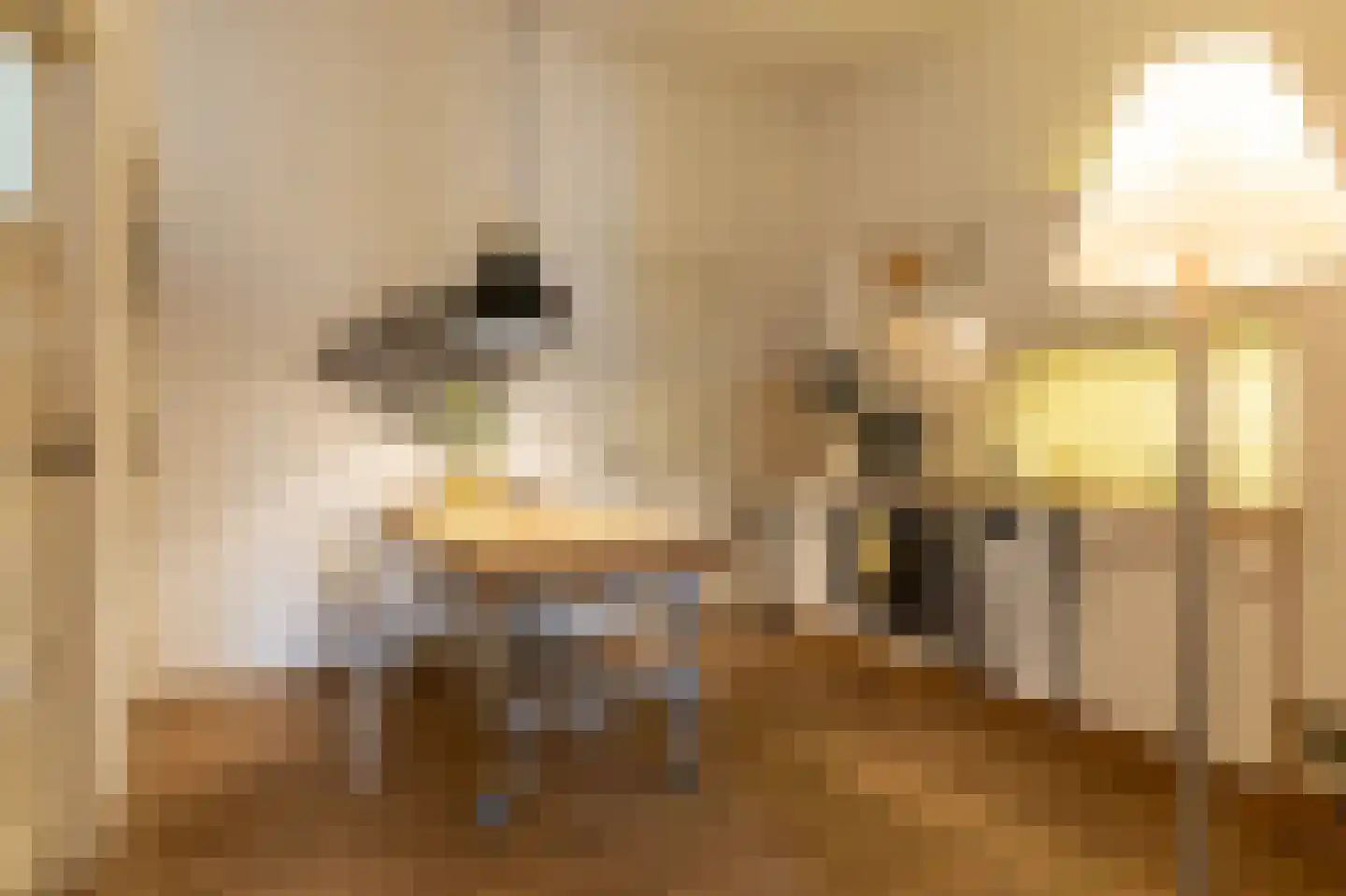 Koetshúsleane 36 Woudsend thumbnail 32