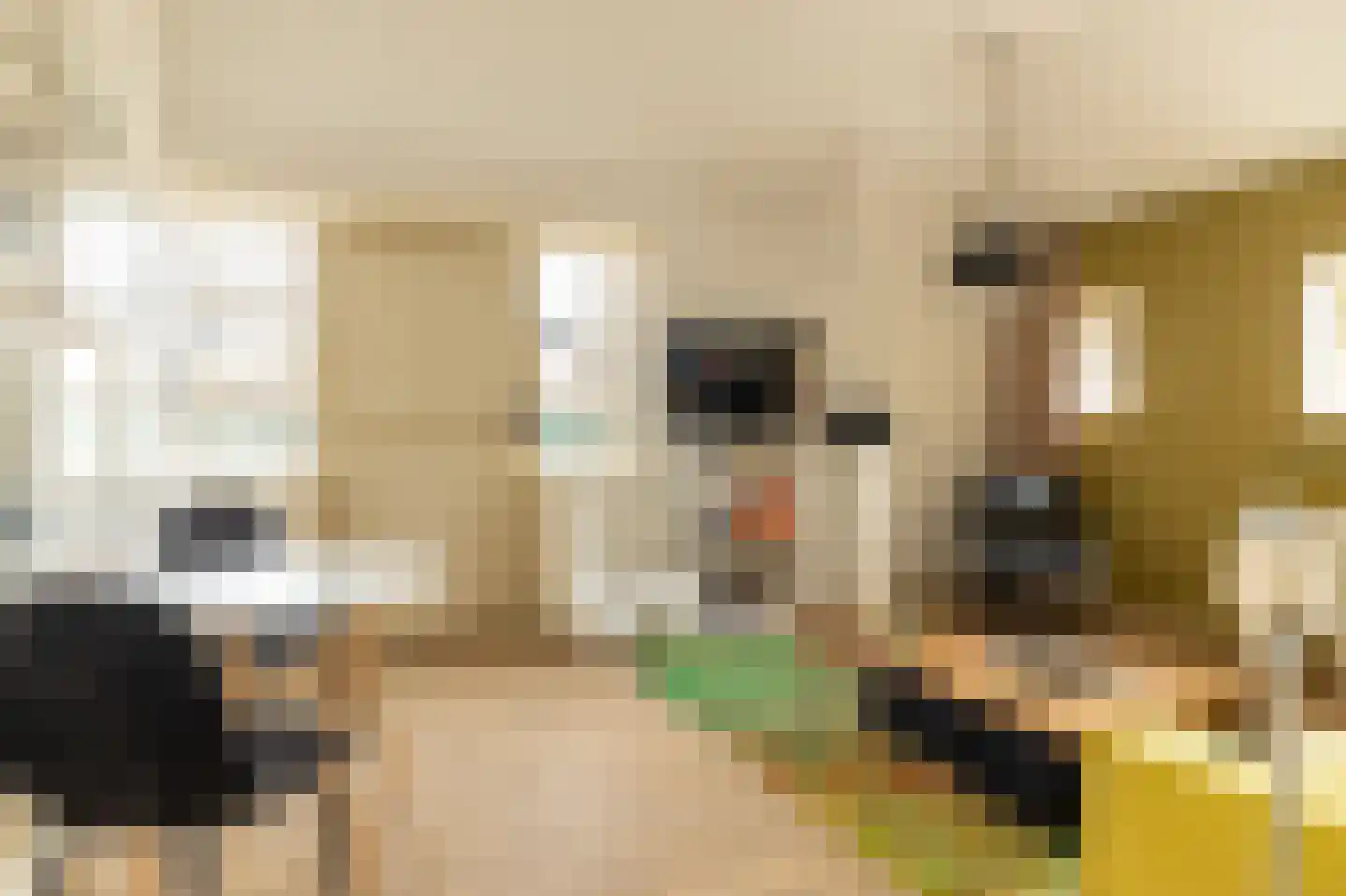 Koetshúsleane 36 Woudsend thumbnail 33