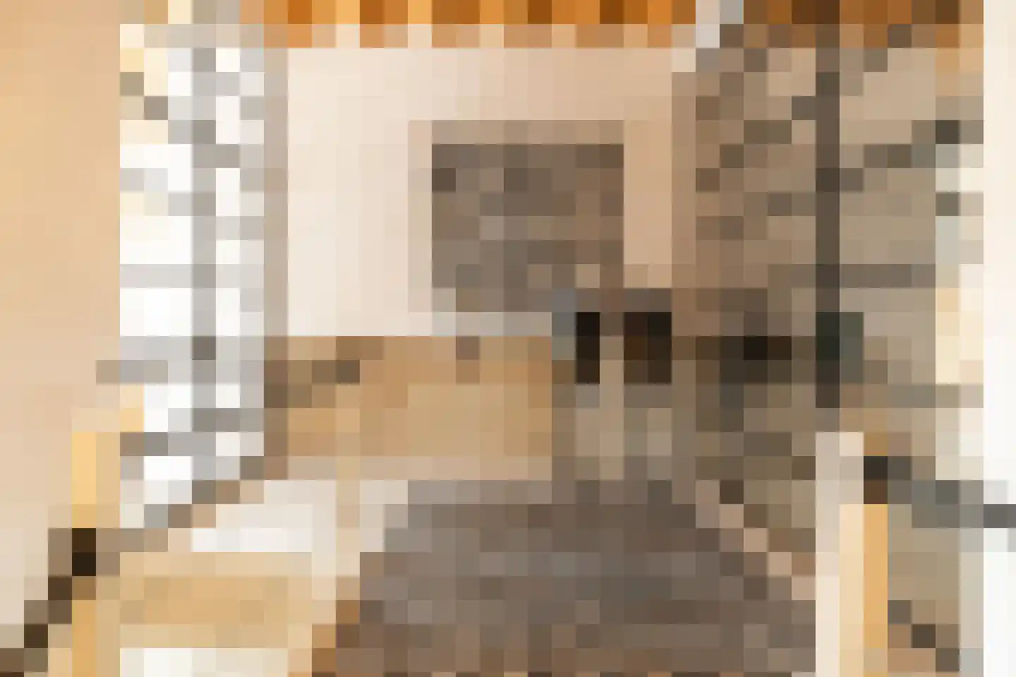 Koetshúsleane 36 Woudsend thumbnail 38