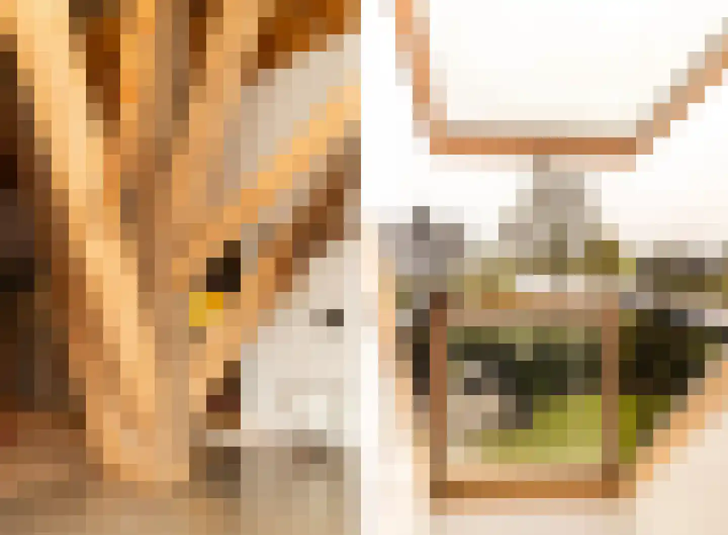 Koetshúsleane 36 Woudsend thumbnail 39