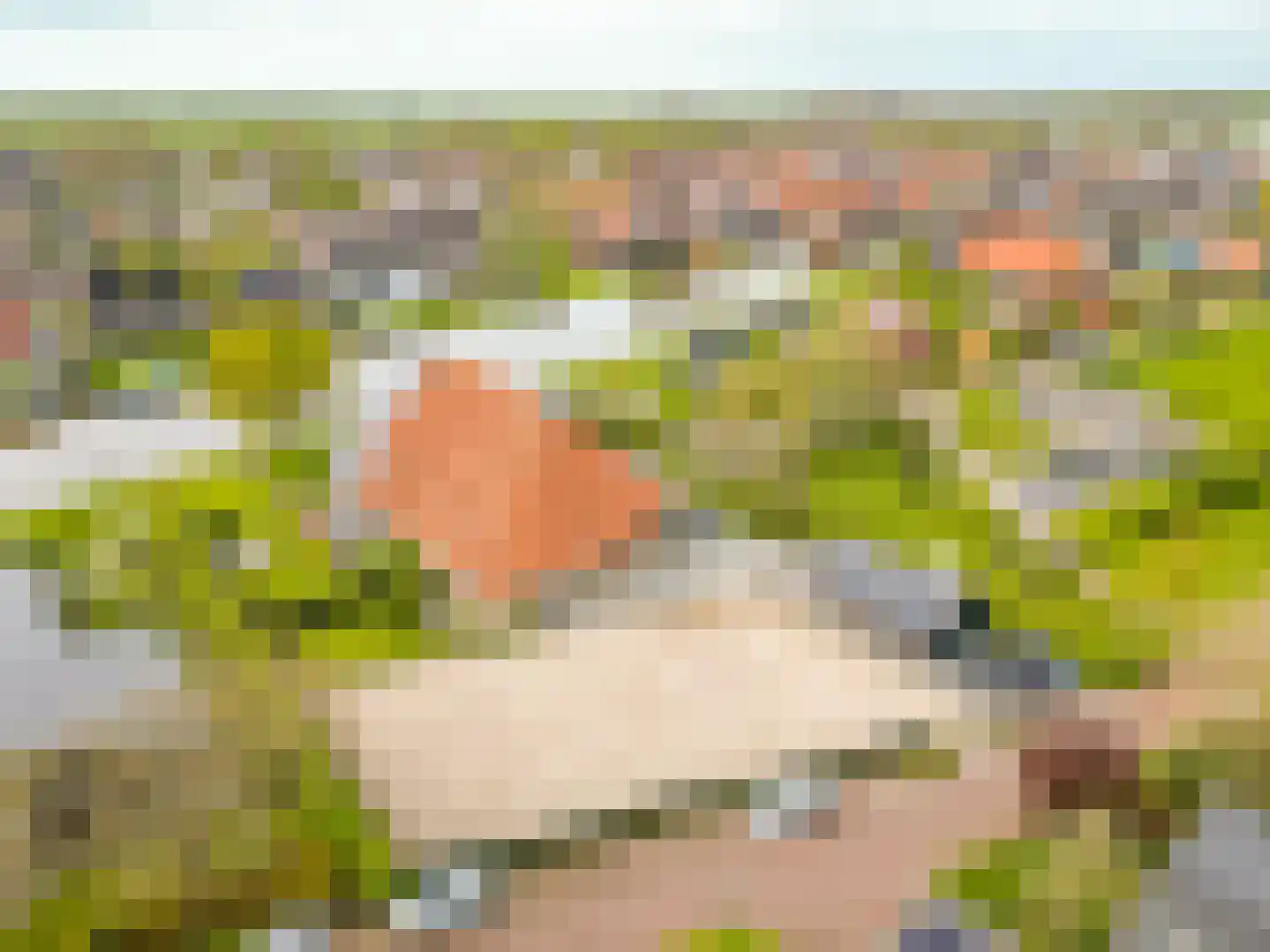 Koetshúsleane 36 Woudsend thumbnail 4