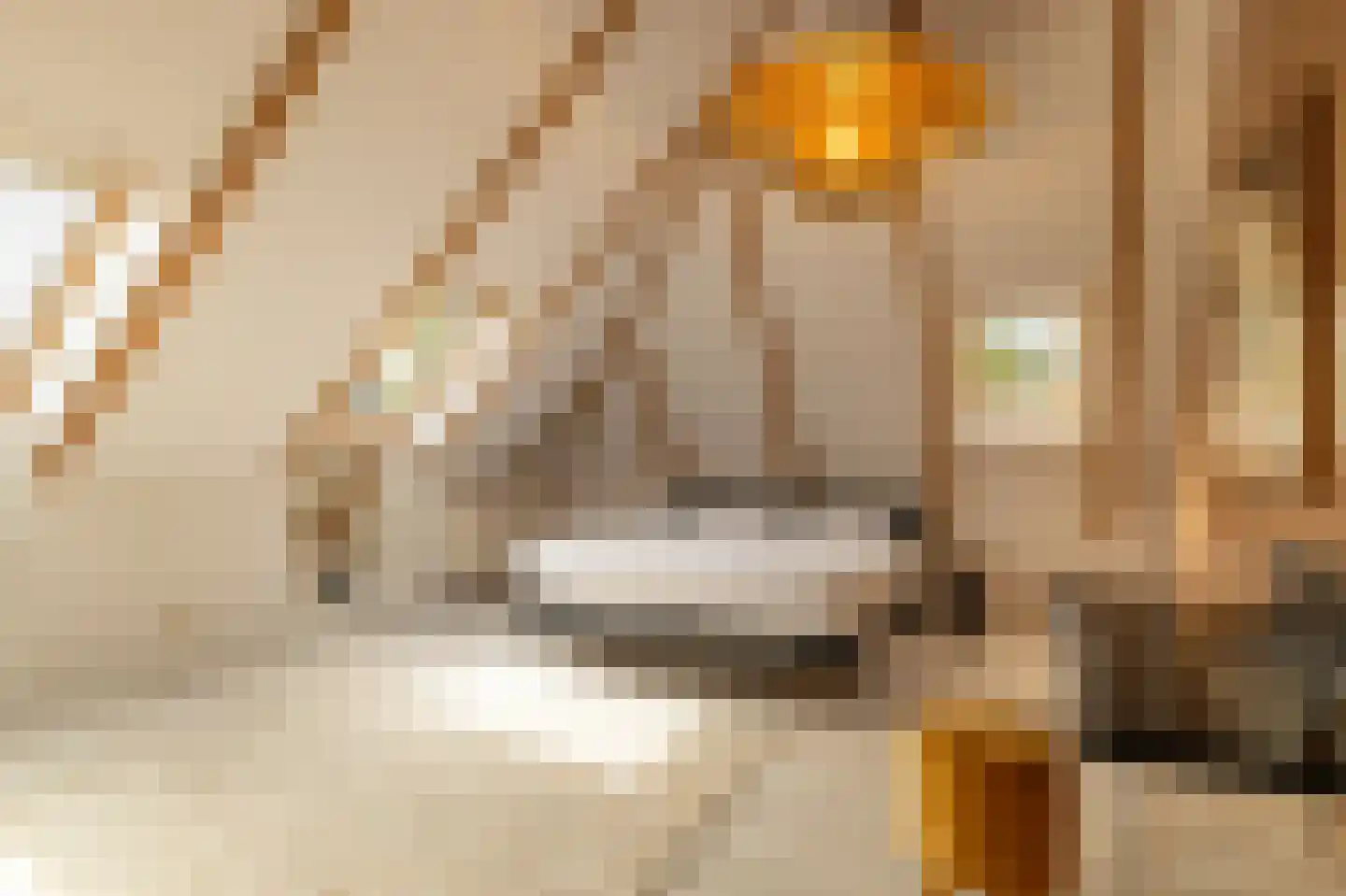 Koetshúsleane 36 Woudsend thumbnail 40