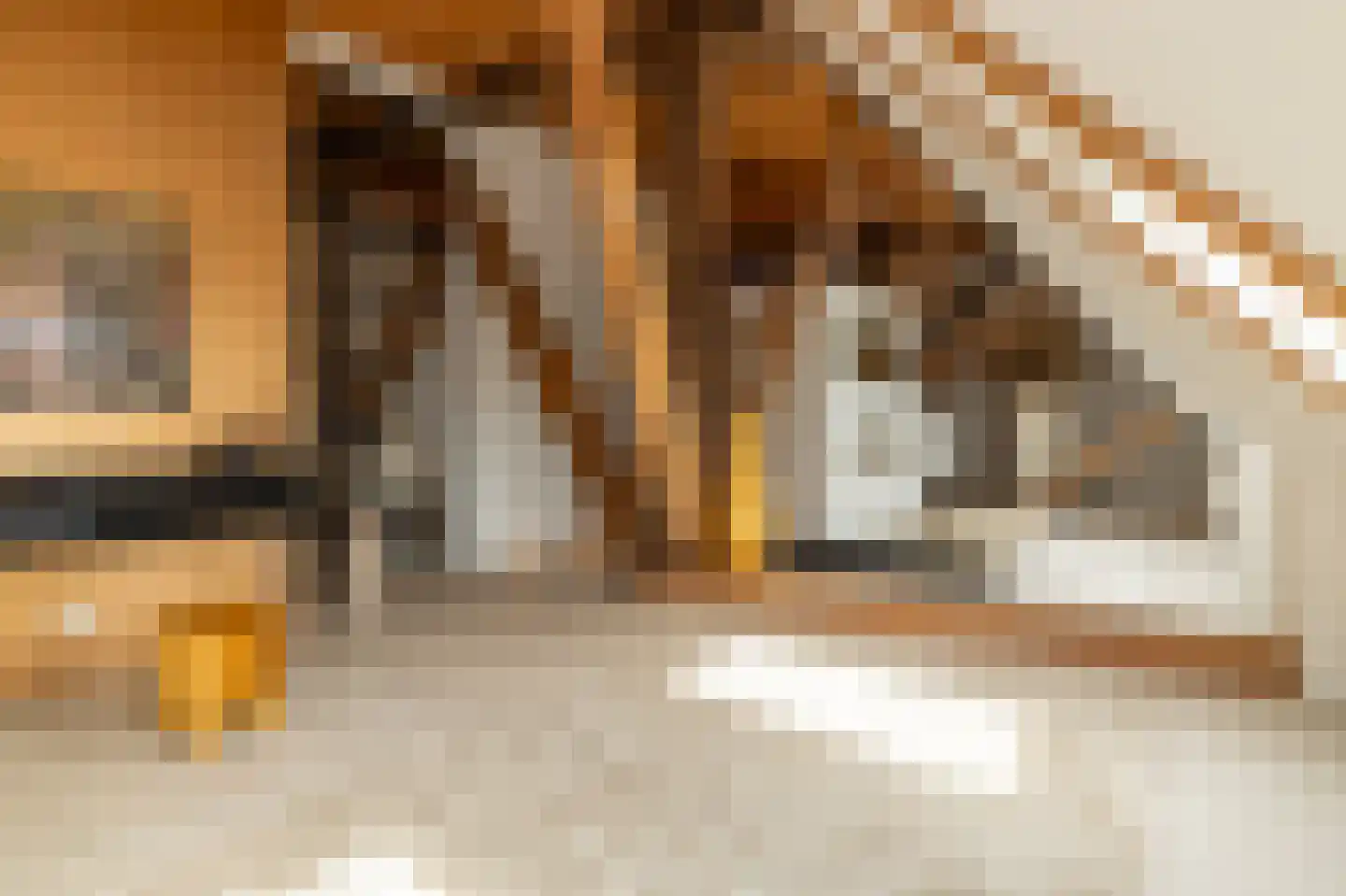Koetshúsleane 36 Woudsend thumbnail 41