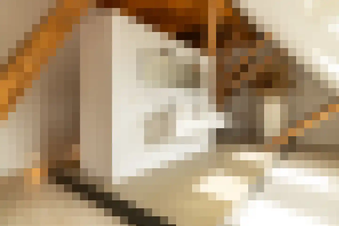 Koetshúsleane 36 Woudsend thumbnail 42