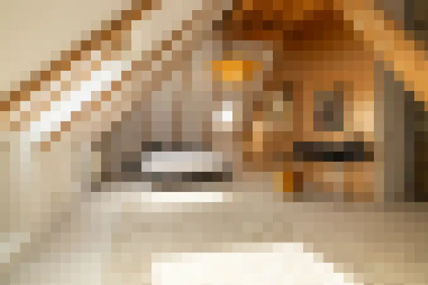 Koetshúsleane 36 Woudsend thumbnail 43