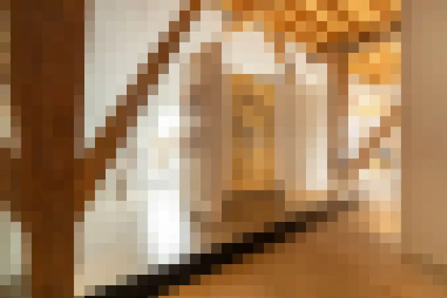 Koetshúsleane 36 Woudsend thumbnail 47