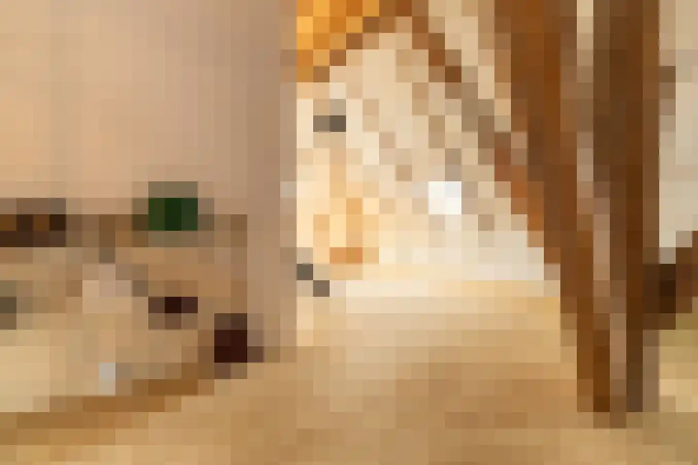 Koetshúsleane 36 Woudsend thumbnail 48