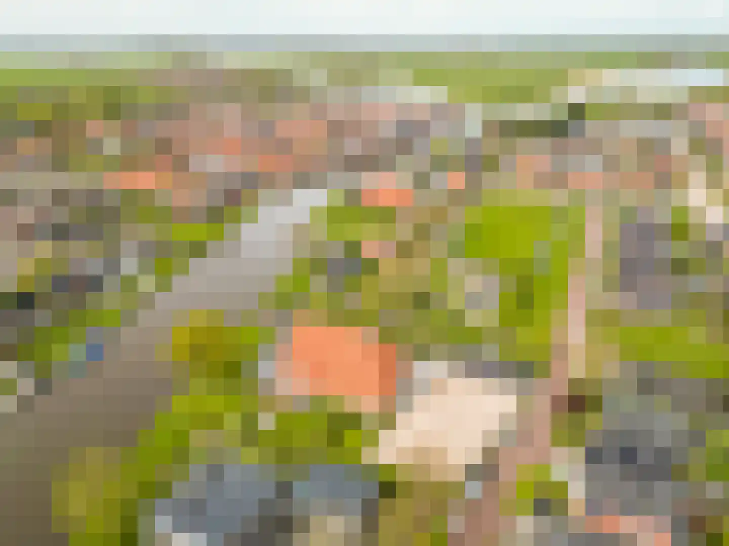Koetshúsleane 36 Woudsend thumbnail 5