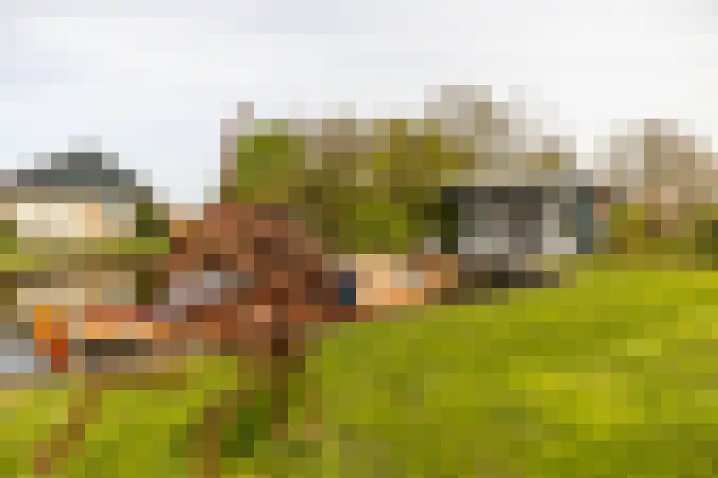 Koetshúsleane 36 Woudsend thumbnail 51