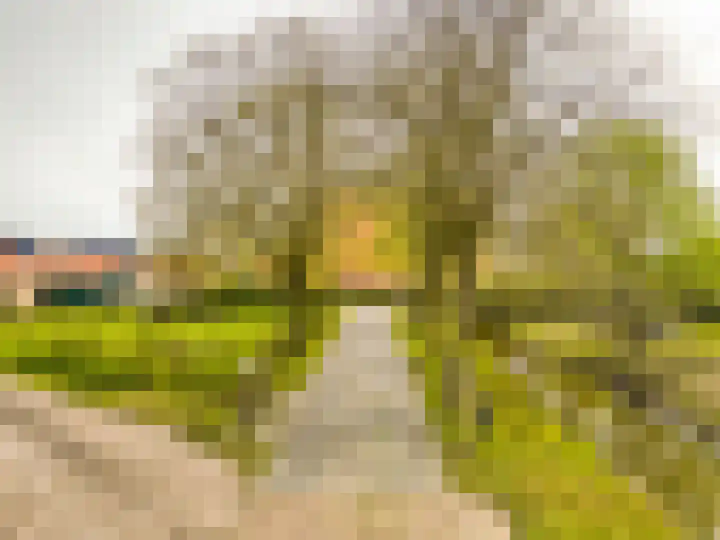 Koetshúsleane 36 Woudsend thumbnail 6