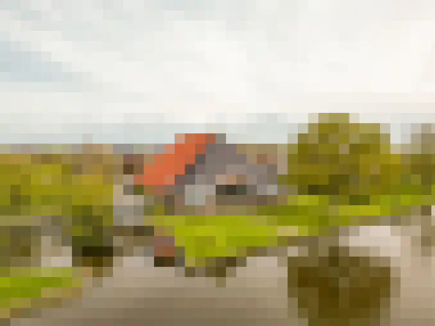 Koetshúsleane 36 Woudsend thumbnail 63