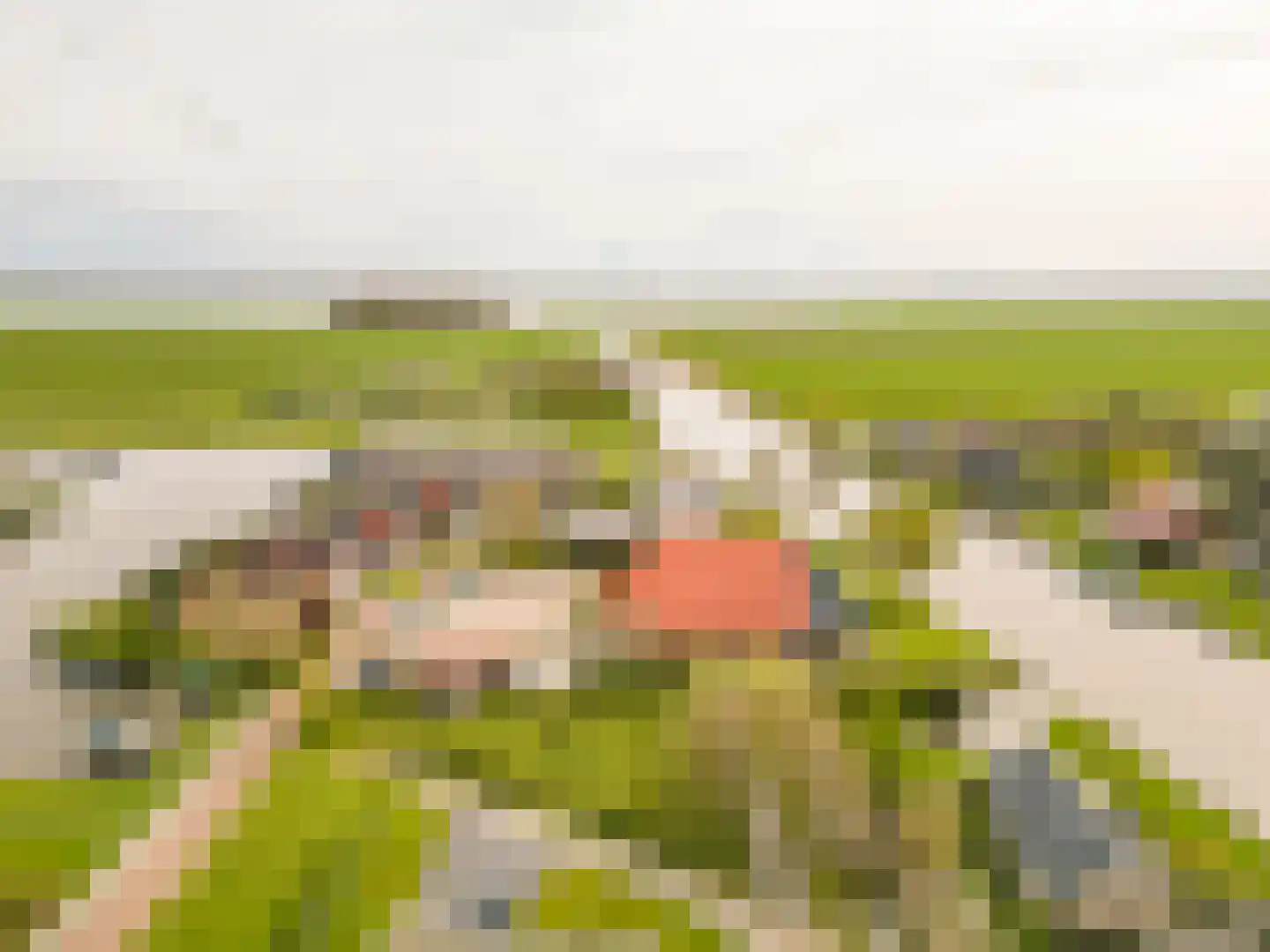 Koetshúsleane 36 Woudsend thumbnail 66