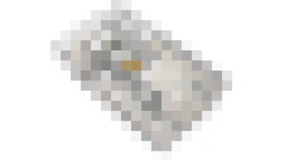 Koetshúsleane 36 Woudsend thumbnail 69