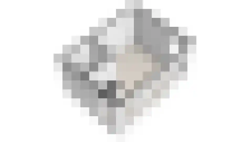 Koetshúsleane 36 Woudsend thumbnail 77