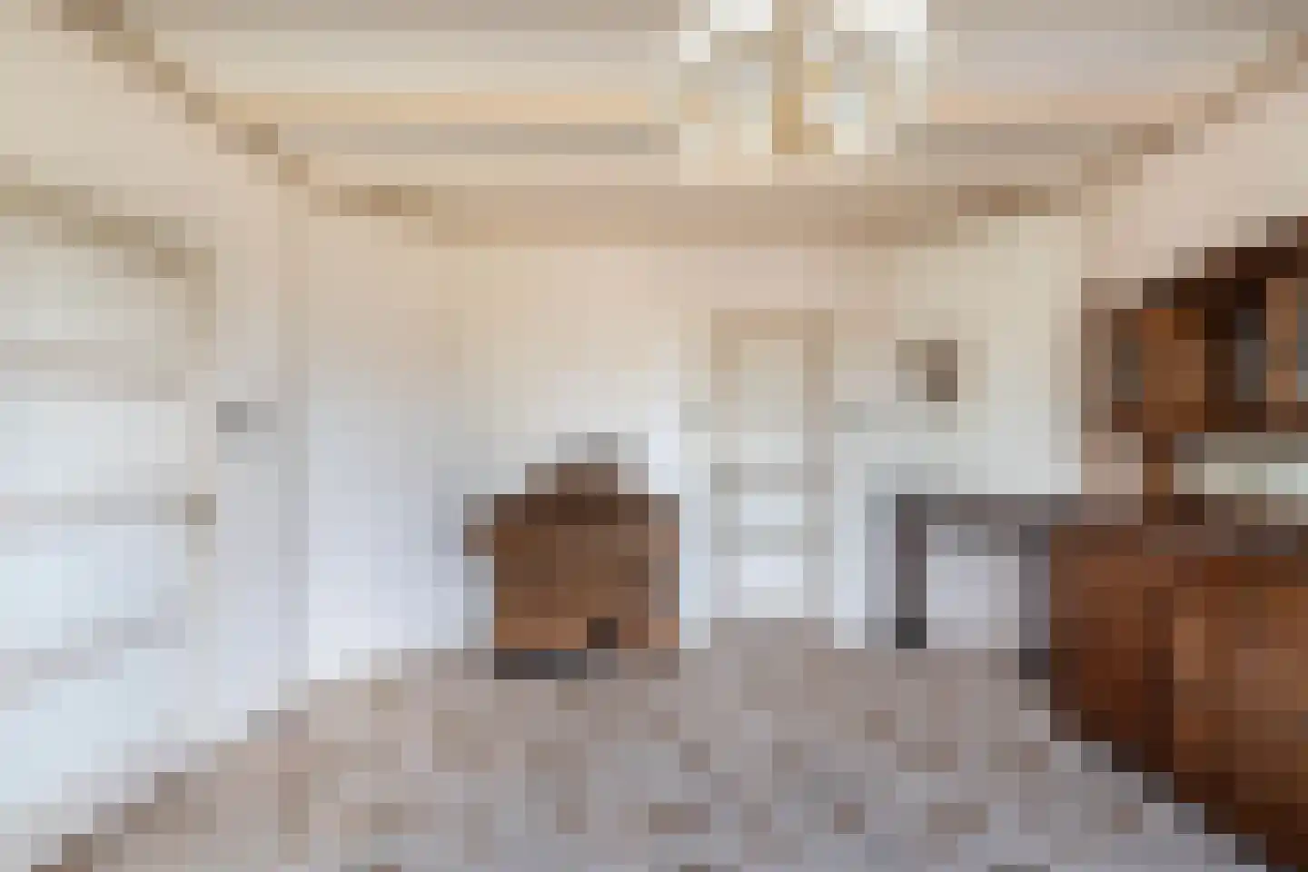 Koetshúsleane 7 Woudsend thumbnail 16