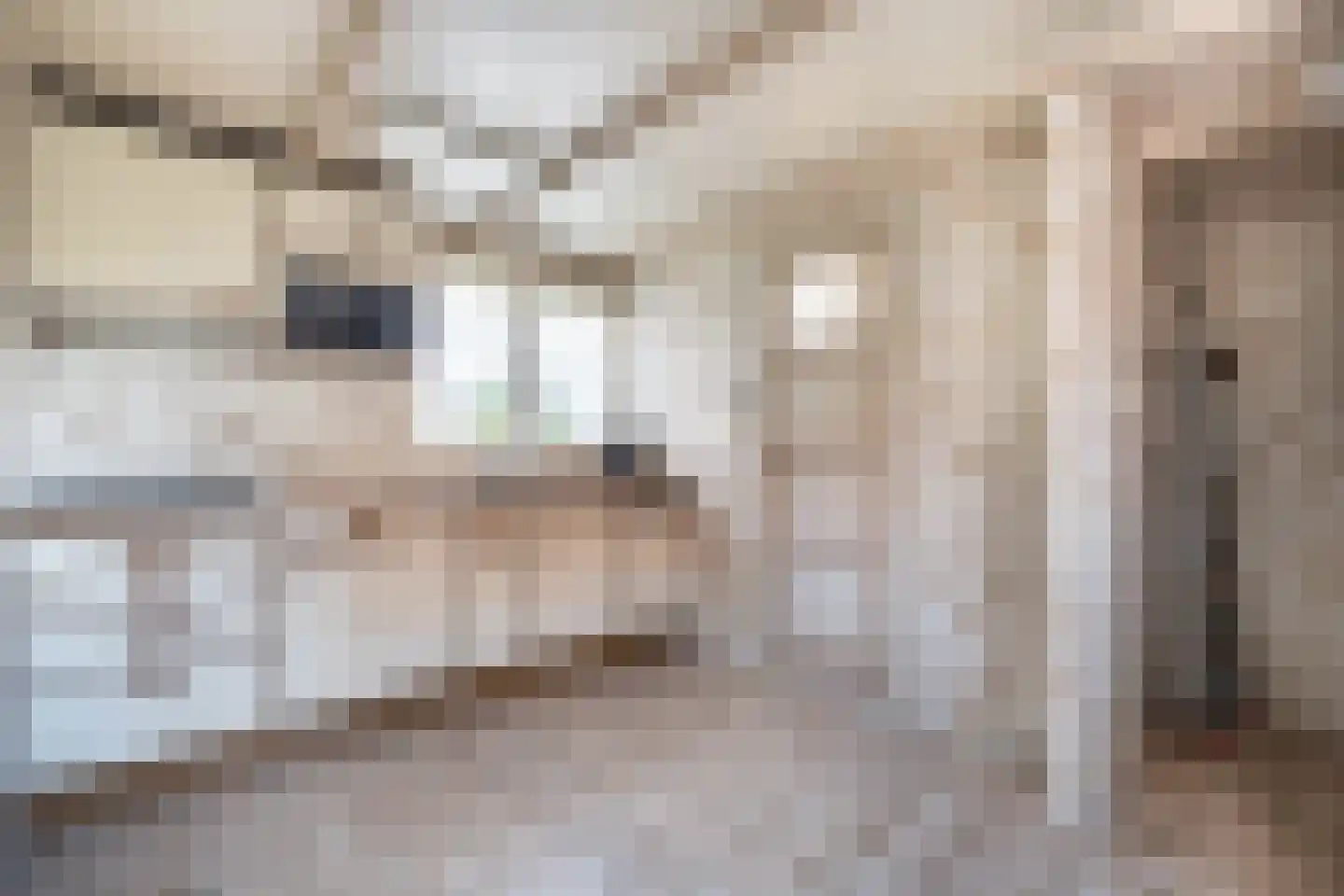 Koetshúsleane 7 Woudsend thumbnail 17