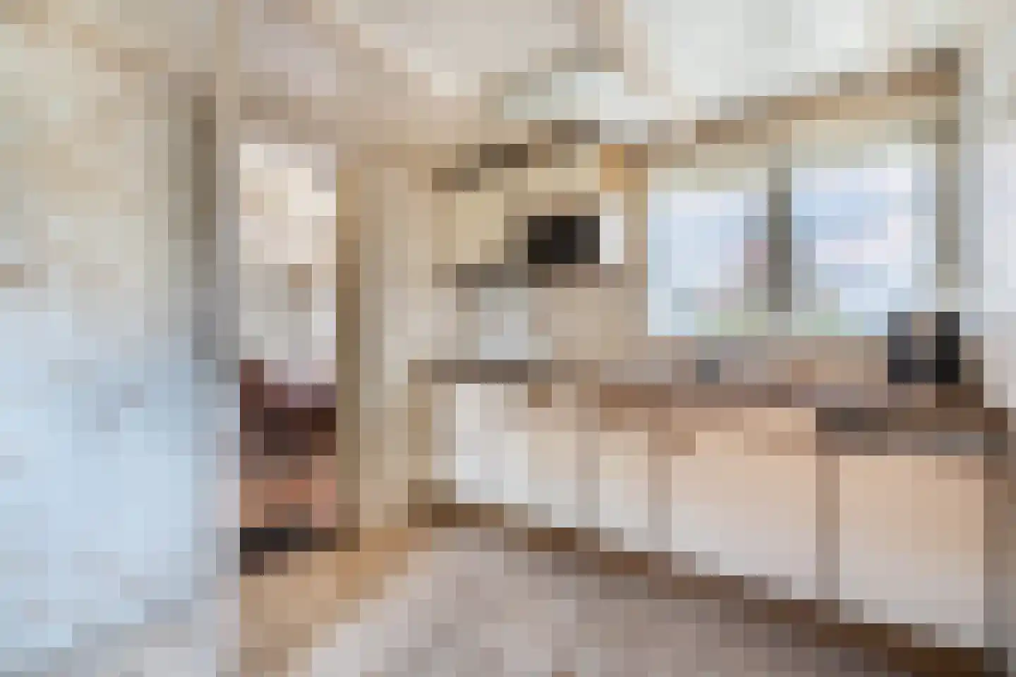 Koetshúsleane 7 Woudsend thumbnail 19