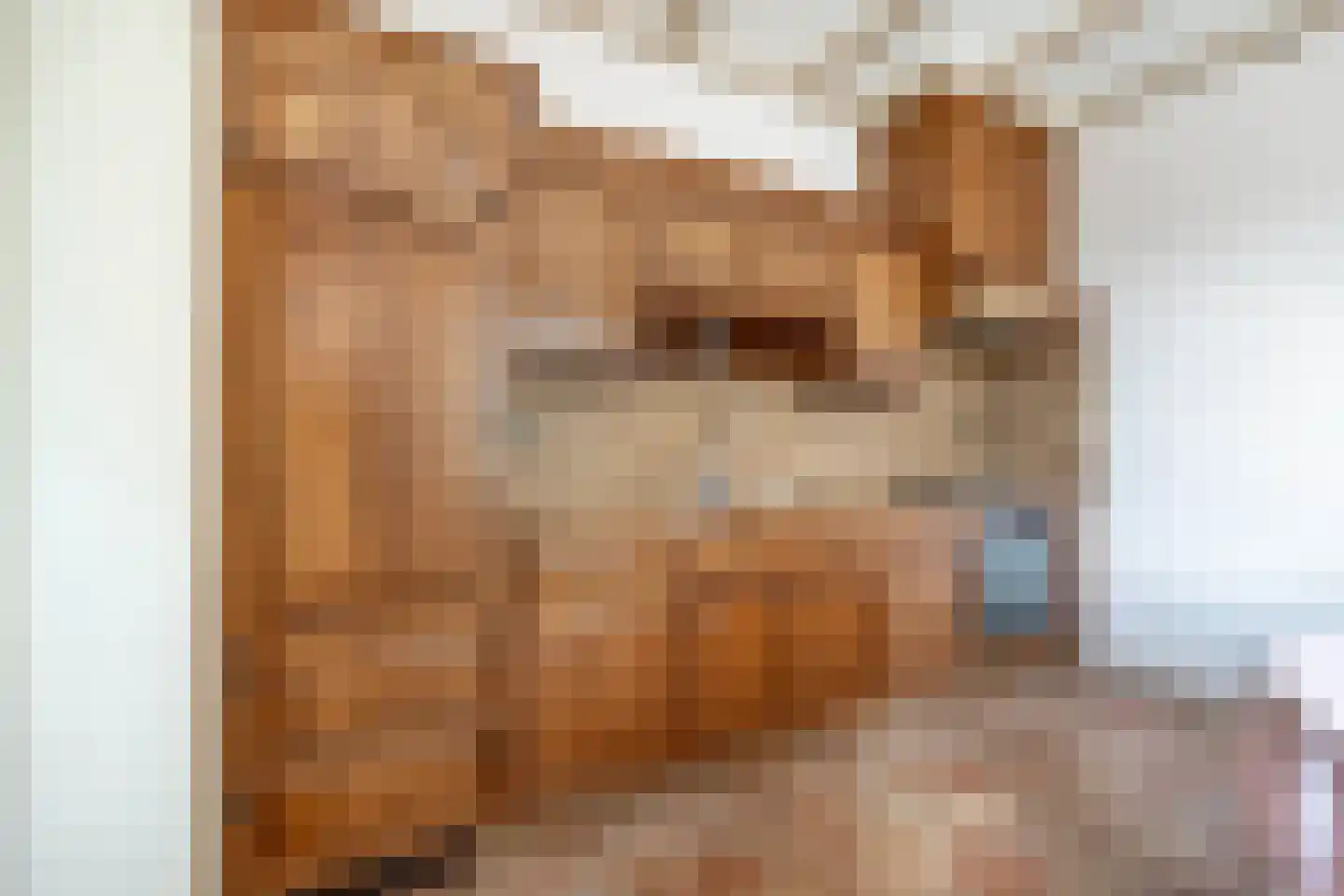 Koetshúsleane 7 Woudsend thumbnail 22