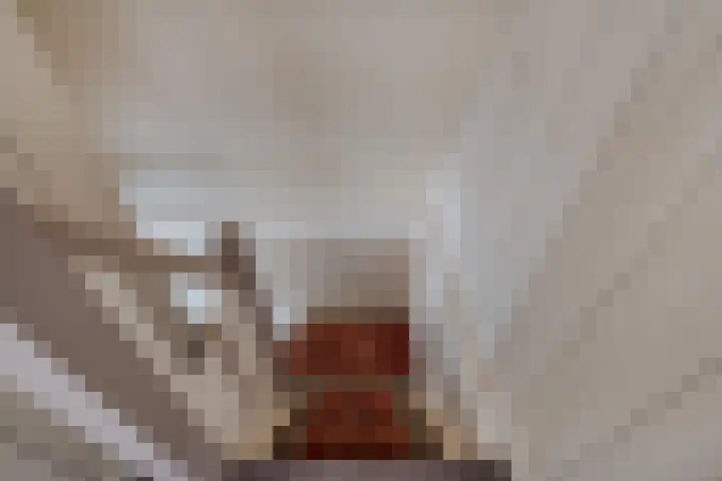 Koetshúsleane 7 Woudsend thumbnail 30