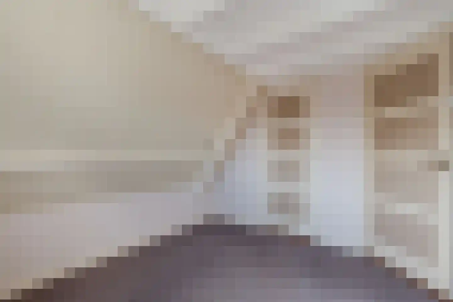 Koetshúsleane 7 Woudsend thumbnail 39