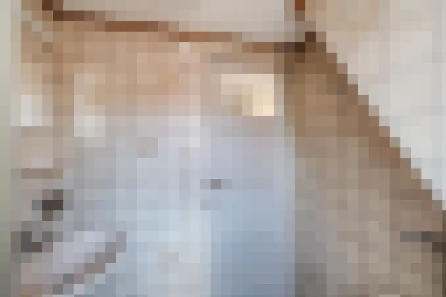 Koetshúsleane 7 Woudsend thumbnail 42