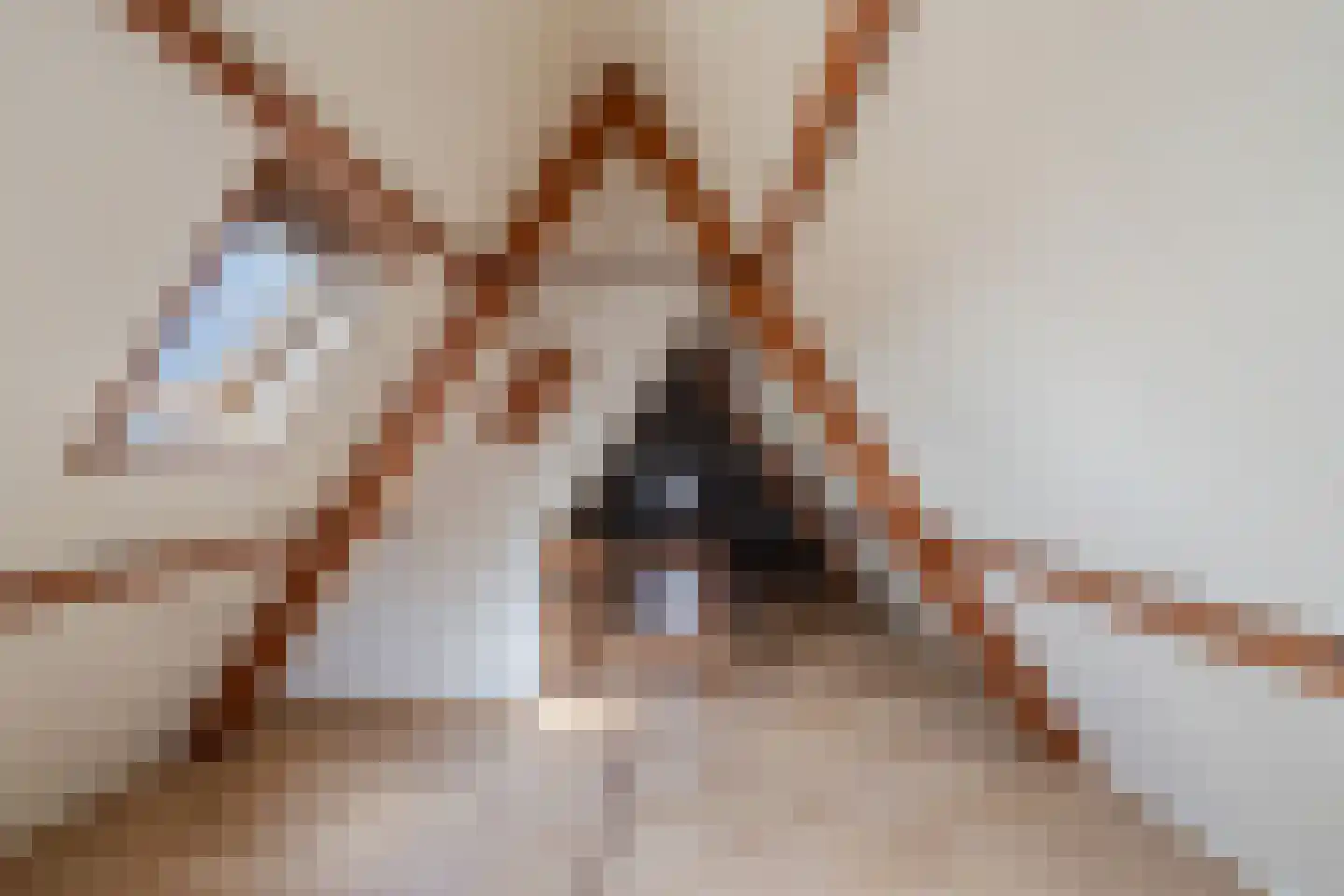 Koetshúsleane 7 Woudsend thumbnail 44