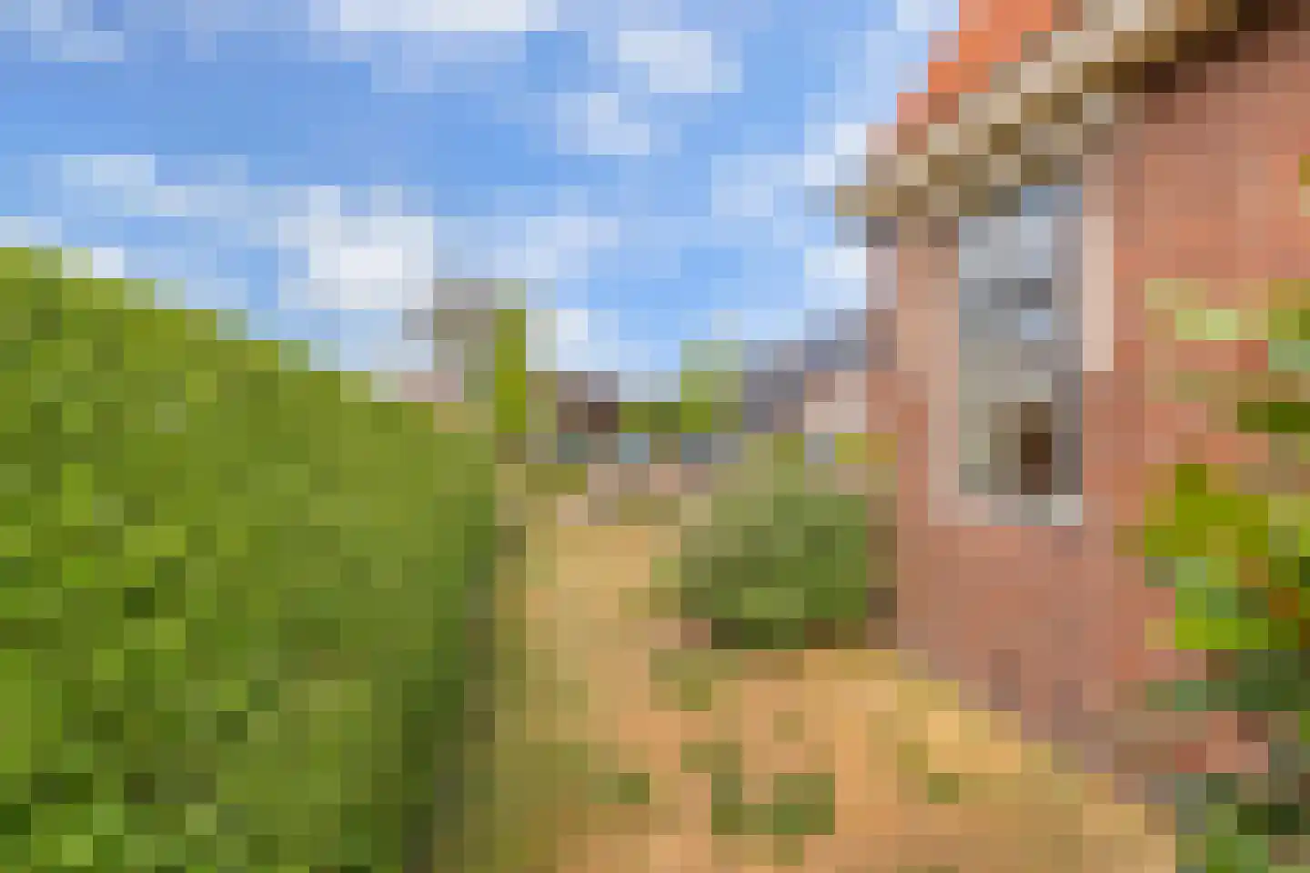 Koetshúsleane 7 Woudsend thumbnail 54