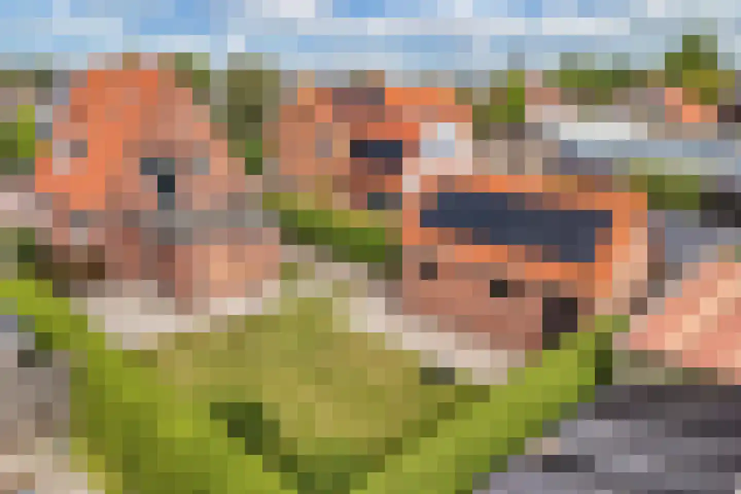 Koetshúsleane 7 Woudsend thumbnail 55