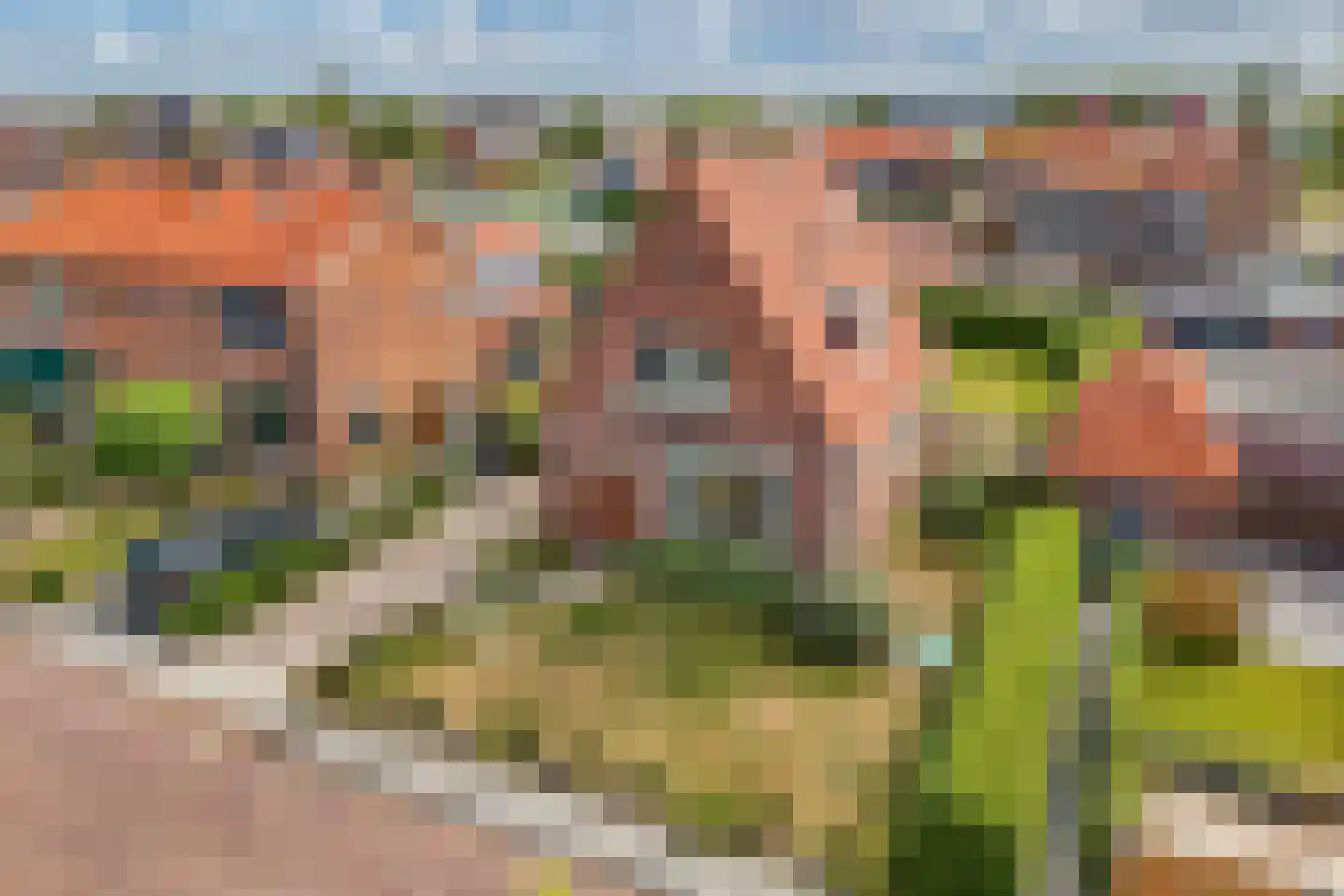Koetshúsleane 7 Woudsend thumbnail 6