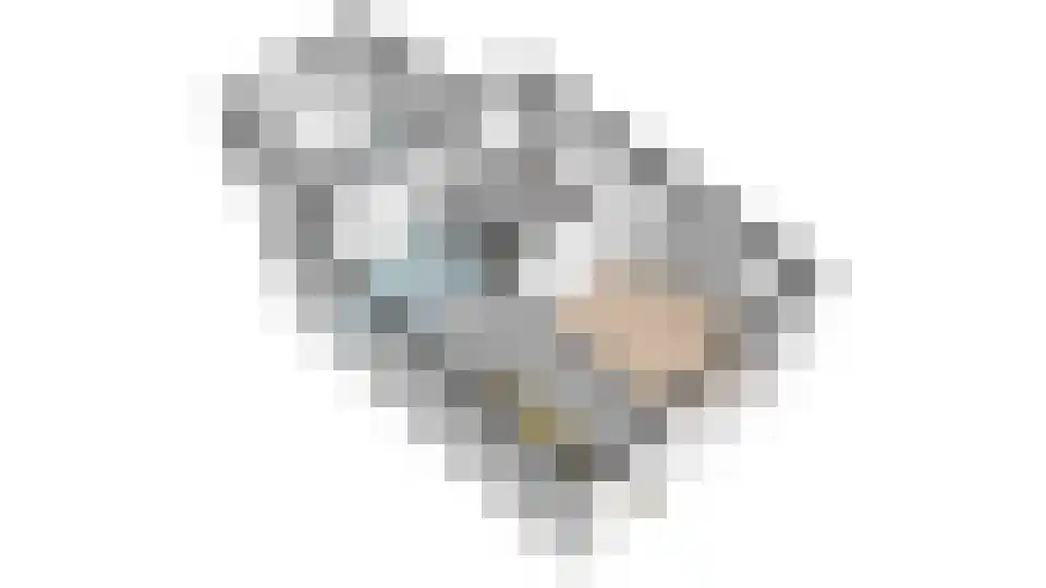Koetshúsleane 7 Woudsend thumbnail 66
