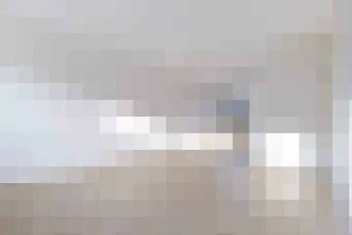 Koetsier 11 Heerenveen thumbnail 10