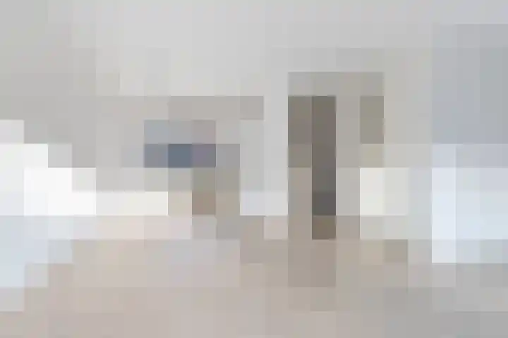 Koetsier 11 Heerenveen thumbnail 11