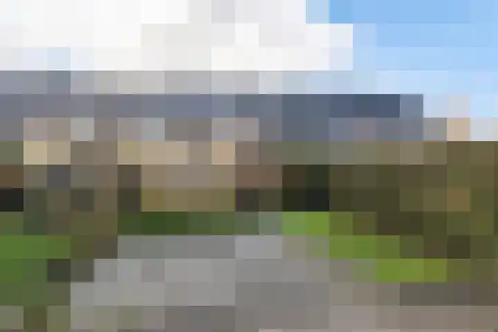 Koetsier 11 Heerenveen thumbnail 14