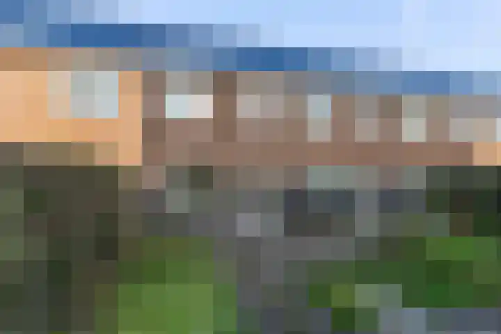 Koetsier 11 Heerenveen thumbnail 15