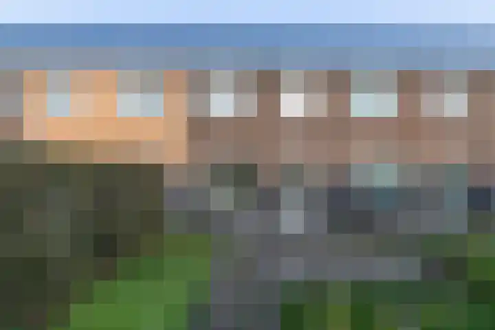 Koetsier 11 Heerenveen thumbnail 16
