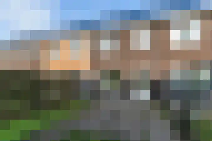 Koetsier 11 Heerenveen thumbnail 17