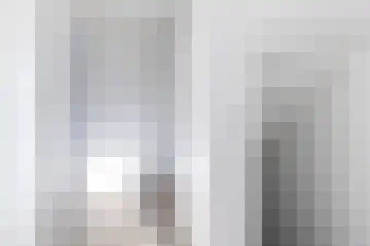 Koetsier 11 Heerenveen thumbnail 19