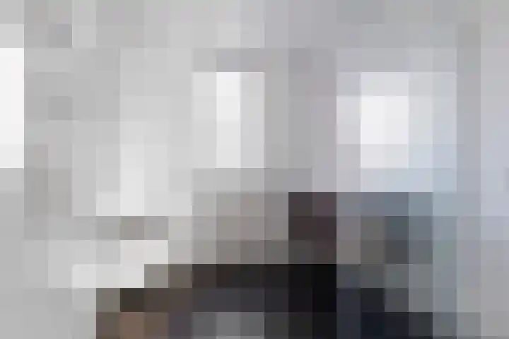 Koetsier 11 Heerenveen thumbnail 24