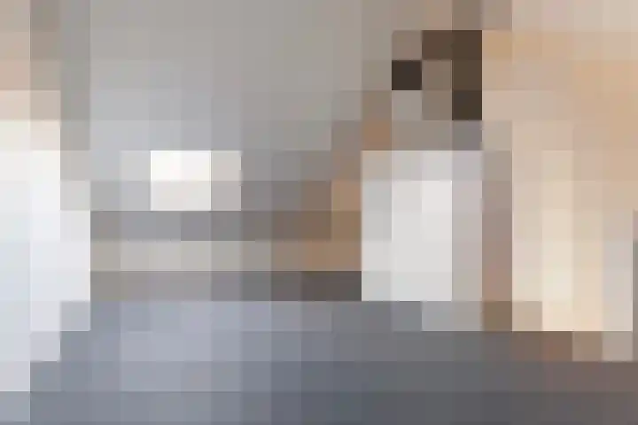 Koetsier 11 Heerenveen thumbnail 28