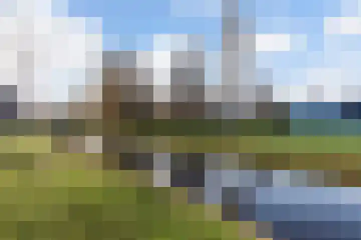 Koetsier 11 Heerenveen thumbnail 30