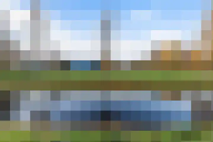 Koetsier 11 Heerenveen thumbnail 31