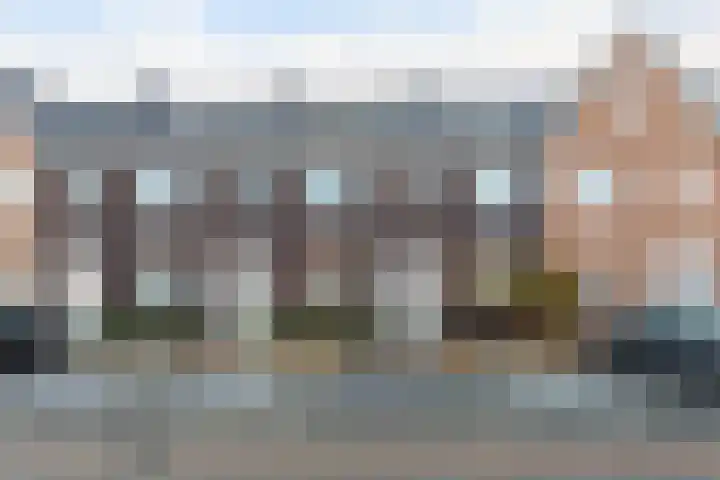 Koetsier 11 Heerenveen thumbnail 4