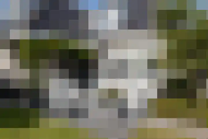 Koetsier 28 Oldenzaal thumbnail 30