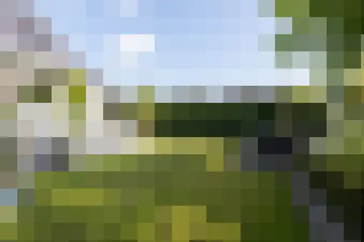 Koetsier 28 Oldenzaal thumbnail 31