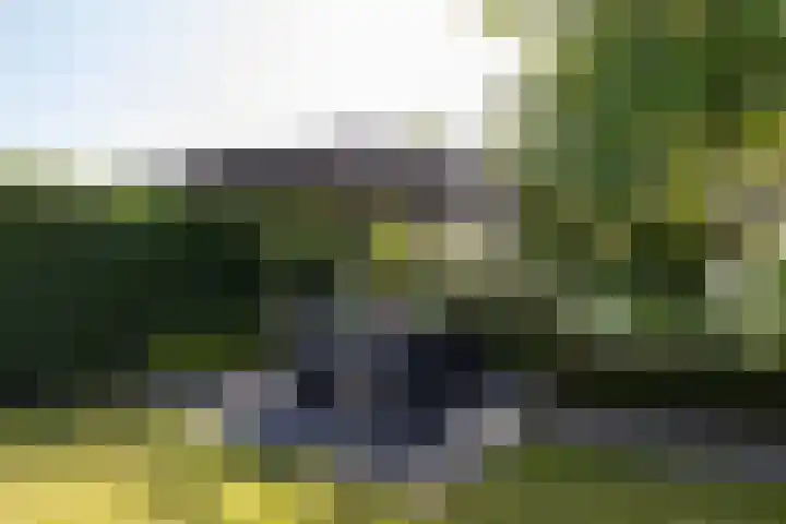 Koetsier 28 Oldenzaal thumbnail 33