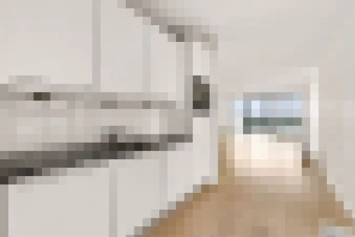 Koetsierbaan 123 Almere thumbnail 20